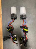 Xenon lampen, Ophalen of Verzenden, Nieuw