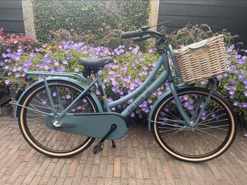 Cortina U4 - 24 inch mouse grey matt, Fietsen en Brommers, Fietsen | Meisjes, Zo goed als nieuw, 24 inch, Ophalen