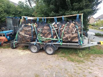 populier 6kuub beschikbaar voor biedingen