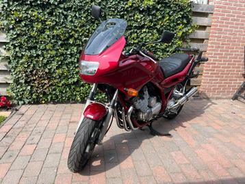 Yamaha Diversion 900 (XJ900S, 1997) – Degelijke toermotor beschikbaar voor biedingen