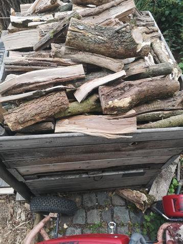 Haardhout, kachelhout, gekloofd beschikbaar voor biedingen