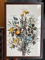 Tegeltableau Heilzame/Giftige Planten, Ophalen