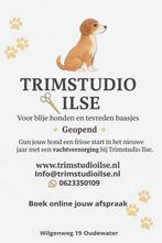 Trimsalon Trimstudio Ilse te Oudewater, Diensten en Vakmensen, Dieren | Honden | Verzorging, Oppas en Les