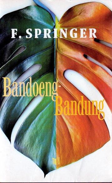 Bandoeng-Bandung - F. Springer beschikbaar voor biedingen