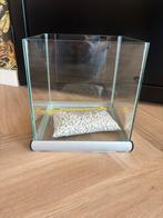 Aquarium (28x28x30), incl. siergrind, Dieren en Toebehoren, Ophalen, Leeg aquarium
