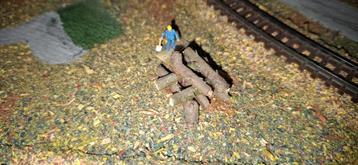 Treinen rails mensen landschap  N spoor beschikbaar voor biedingen