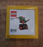 Lego 6432433 Dragon Adventure / Draken avontuur, Kinderen en Baby's, Speelgoed | Duplo en Lego, Nieuw, Ophalen of Verzenden