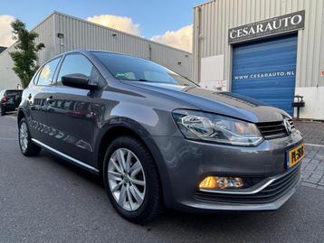 Volkswagen Polo 1.2 TSI HIGHLINE BUSINESS R 5 DEURS / NL AUT beschikbaar voor biedingen