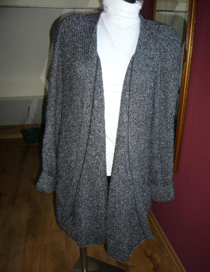 Bronwasser Collection vest grijs 70% wol 30% zijde mt38-40, Kleding | Dames, Truien en Vesten, Gedragen, Maat 38/40 (M), Grijs
