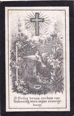 ANTONETTA VAN STIPHOUT - VAN ROOIJ 1859-1903, Verzenden, Bidprentje