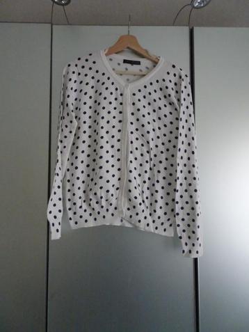 Leuk vrolijk vestje wit met bolletjes maat 40 beschikbaar voor biedingen