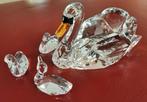 Swarovski Jubileum zwanen limited editie 2017, Verzamelen, Swarovski, Ophalen of Verzenden, Nieuw, Figuurtje