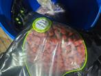Carpelicious redspice  boillies en pellets, Ophalen of Verzenden, Zo goed als nieuw, Overige typen