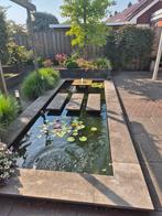 Complete vijver met natuurstenen rand, Tuin en Terras, Vijvers, Ophalen, Gebruikt