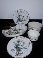 Villeroy en boch Botanica, Antiek en Kunst, Antiek | Servies los, Verzenden