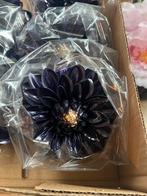 Paarse Dahlia Steel - Nieuw, Ophalen, Nieuw