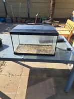Aquarium 60 x 40x35, Dieren en Toebehoren, Vissen | Aquaria en Toebehoren, Ophalen, Leeg aquarium