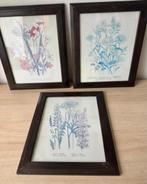 Set van 3 botanische prenten in houten lijsten, Ophalen of Verzenden