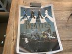 Nieuwe poster van The Beatles, Verzamelen, Posters, Nieuw, Ophalen of Verzenden, Rechthoekig Staand, Muziek