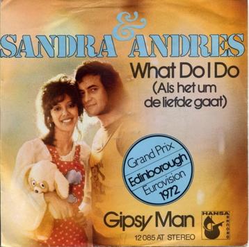 single vinyl  SANDRA & ANDRES – What Do I Do (1972 - GER) beschikbaar voor biedingen
