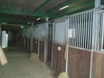 stalling en weidegang, Dieren en Toebehoren, Stalling en Weidegang, Weidegang
