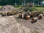 Dennen Brandhout +/- 5m3, Tuin en Terras, Haardhout, Ophalen