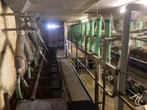 melkstal krachtvoerboxen, Ophalen, Veehouderij, Stalinrichting