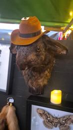 Te koop: hazenkop trofee met hoedje, Ophalen of Verzenden, Nieuw, Wild dier, Gewei of Kop