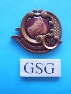 50 jaar Stoomcarrousel nr. EPP078-02, Verzamelen, Efteling, Ophalen of Verzenden, Zo goed als nieuw, Button of Speldje