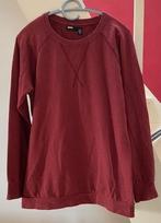 BDG - donkerrode sweater, Overige kleuren, Ophalen of Verzenden, Zo goed als nieuw, BDG