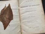 Schets van de geschiedenis der Nederlanden / 1876, Antiek en Kunst, Ophalen of Verzenden
