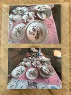 Villeroy en Boch Botanica Compleet  servies NOOIT GEBRUIKT!, Antiek en Kunst, Antiek | Servies los, Ophalen of Verzenden