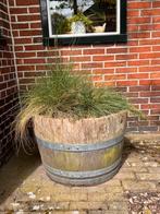 Stevige plantenbakken, inclusief de grassen en bollen., Tuin en Terras, Gebruikt, Minder dan 60 cm, Ophalen
