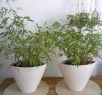 2 grote aparte keramiek potten beige/zandkleur, Tuin en Terras, Ophalen, Gebruikt, Binnen, Minder dan 25 cm
