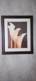 Decoratie -  Aronskelk / Tulp / Vazen - 3 stuks in lijst, Ophalen of Verzenden, Wanddecoratie