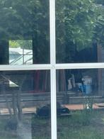 Glas voor tuinkas/serre, Tuin en Terras, Kassen, Ophalen, Glas, Zo goed als nieuw