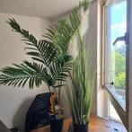Artificiël neptune Grass Plant en Palm Plant, Huis en Inrichting, Ophalen, 100 tot 150 cm, Palm, In pot