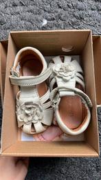 Baby shoe froddo 20, Kinderen en Baby's, Ophalen, Zo goed als nieuw, Jongetje of Meisje, Schoentjes