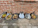 Drinkbakken, Ophalen, Rond, Kunststof, Minder dan 60 cm