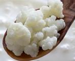 Kefir culturen BIOLOGISCH incl verzending EUR 6, Diversen, Levensmiddelen, Ophalen of Verzenden