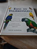 Kooi - en - vollierevogels, Dieren en Toebehoren, Vogels | Parkieten en Papegaaien, Mannelijk, Papegaai