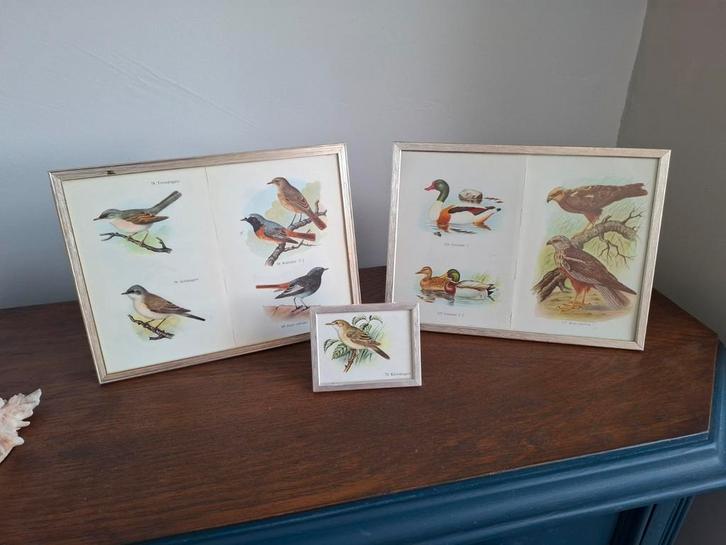 Vintage Jyden fotolijstjes, zilverkleurig, Huis en Inrichting, Woonaccessoires | Lijsten, Gebruikt, Minder dan 50 cm, Minder dan 50 cm