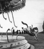 Sauna of naturisme gezelschap, Ophalen of Verzenden