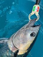 Big Game Tuna 2x Boca Grip Pratico RVS 316L Catch & Release., Watersport en Boten, Ophalen of Verzenden, Nieuw, Overige typen