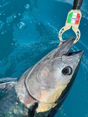 Big Game Tuna 2x Boca Grip Pratico RVS 316L Catch & Release. beschikbaar voor biedingen