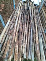 Dunne kastanje palen 3 meter, Ophalen, Nieuw, 250 cm of meer, Palen
