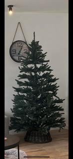 Kerstboom triumph tree, Diversen, Kerst, Ophalen, Zo goed als nieuw