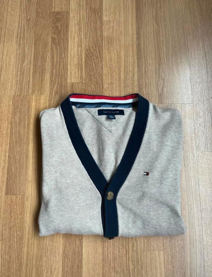 Tommy hilfger trui S, Kleding | Dames, Truien en Vesten, Zo goed als nieuw, Blauw, Ophalen of Verzenden