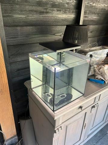 Aquarium 30 liter beschikbaar voor biedingen