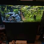 Complete Juwel Rio 180 incl Helialux verlichting&CO2, Dieren en Toebehoren, Vissen | Aquaria en Toebehoren, Ophalen, Zo goed als nieuw